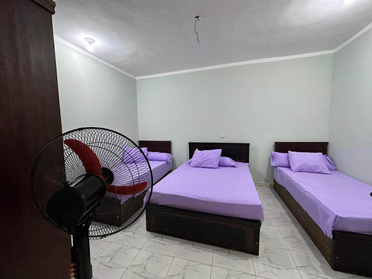 Skylen Hostel フルガダ エクステリア 写真